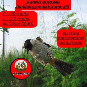 JARING JEBAK BURUNG KUTILANG p10 JALA PIKAT BURUNG KUTILANG MURAH JARING JEBAK EMPRIT JARING JEBAK KUTUT SIAP TEBAR JARING BURUNG PIKAT SIAP RAKIT RAKITAN JARING SIAP PAKE JALA BURUNG KUTILANG PERANGKAP KUTUT SIAP TEBAR JARING PIKAT PERKUTUT JALA JARING P