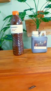 POLITUR PLITUR 500 ML WOODNESIA WATERBASED KAYU JATI MAHONI WALNUT SALAK AKASIA TERLARIS