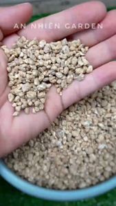 ĐÁ MASATO- Phụ kiện trang trí chăm sóc dành cho sen đá Xương rồng cây cảnh