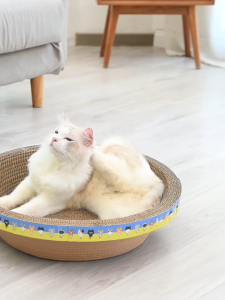 มือกาแฟ มินหุตัน ที่ลับเล็บ มาเรียนรู้เรื่อง กระดาษลูกฟูก แบบ 2 ด้าน ที่ลับเล็บ ที่ลับเล็บแมว แถมฟรีกัญชาแมว