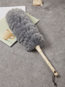 Ultimate Guide to Household Ceiling Cleaning Gadget & Automobile Dust Removal