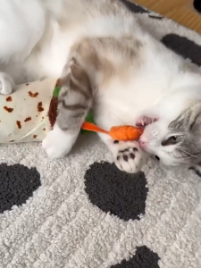 P.L.A.Y. Feline Frenzy Cat Kicker Toy | Organic Catnip Plush for Bites & Kicks