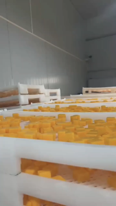 Kẹo Dẻo Sữa Chua Trái Cây Mix – Vị Chua Ngọt Tự Nhiên Siêu Ngon