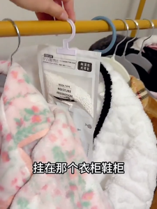 Moisture Absorber Dehumidifier Bag for Wardrobe Closet & Car | Hanging Damp Trap | Odor Removal & Mold Prevention