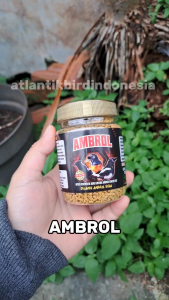 Ambrol Voer Coklat Perontok Bulu 145g Untuk Burung Murai Kacer Jaminan Ambrol Total