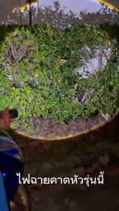 HUAFA⚡ไฟฉายคาดหัว วอร์มไวท์ กันน้ํา LED ปรับซูมได้ ชาร์จไฟหน้า Type-c ตั้งแคมป์  เดินป่า