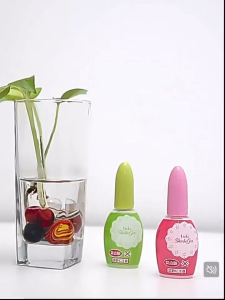 Kobayashi Toilet Deodorizer One Drop Air Freshener Floral Scent 20ml