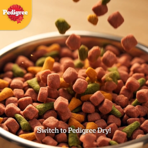 PEDIGREE Adult Dog Food in Beef & Vegetable Flavor 20kg