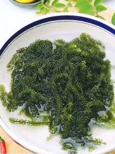 Sea grape 100g ready-to-eat small package seaweed salad shredded sushi ingredients新鲜盐渍海葡萄低脂减脂泡发即食半成品懒人菜