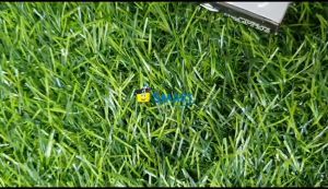 (1BIJI) JOYKO BANTALAN TINTA NO. 00 (STAMP PAD)