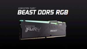 Kingston Fury Beast RGB DDR5 4800 / 5200 / 5600 / 6000 MHz Desktop PC Gaming Memory RAM (8GB / 16GB / 32GB / 64GB)