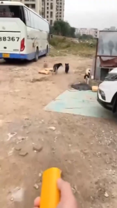 เครื่องไล่สุนัข ระยะหวังผล 1-3 เมตร เครื่องป้องกันหมา เครื่องกำจัดหมา เทคโนโลยีขั้นสูง ของแท้ 100% LED อัลตราโซนิก anti-barking อัลตราโซนิกโดยไทยและยื่นยาก