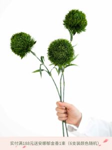 Đạo Cụ Hoa Giả JUNJUN Đá Xanh Thực Tế Mùi Hương Hoa Tươi Trang Trí Nhà Hiện Đại Trang Trí Hoa Tươi Đạo Cụ Hoa Giả Đạo Cụ Hoa Tươi