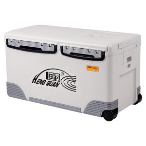 HENG GUAN | Portable Insulated Refrigerator Box 48L