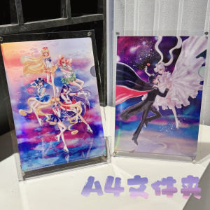 Sailor Moon Original Artwork A4 Laser Cut Acrylic Folder Anime Themed Document Organizer Japan Origin Moon Rabbit Character