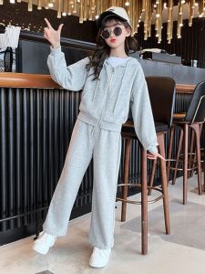 Girls Spring Autumn Cardigan Hoodie Set Casual Fashion Two-Piece Suit Cotton Blend Fabric Korean Style Elementary School Kids Clothing