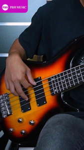 BLW 5 String 24 fret Humbucker Bass Guitar - Sunburst and Metallic Red