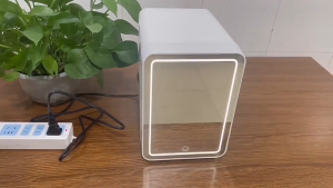 6L Mini Fridge Mirror Cosmetic Car Household Beauty Mask Skin Care Cosmetics Built in LED