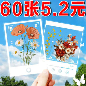 Handmade DIY Dry Flower Leaf Embossed Frame Transparent Bookmark Material for Book Mark Making No Brand Registered Trademark