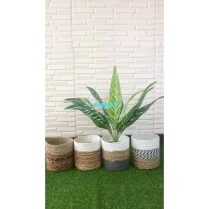 Pohon Artificial Daun Aglonema Hijau Strip X12 Semilatex Cover Pot Anyaman Seagrass Variasi Dekorasi Ruang Kantor