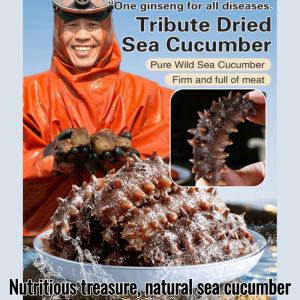 【HOT SALE】Wild Sea Cucumber Instant Dalian Sea Cucumber Fresh Liao Cucumber Sea Sashimi Tonic Sea Cucumber Vacuum-Packed Sea Cucumber