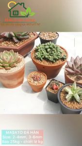 Đá Maifan H.A.N ( Masato) (Túi 1kg) chuyên dùng trồng sen đá xương rồng bonsai size 2-4mm và 3-6mm