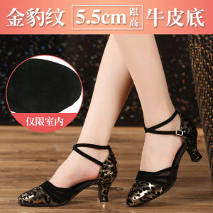 Womens Latin Dance Shoes Womens Dancing Shoes Dancing Shoes Shoes for Square Dance Soft Bottom Mid Heel Modern Dancing Shoes Leopard Print Summer