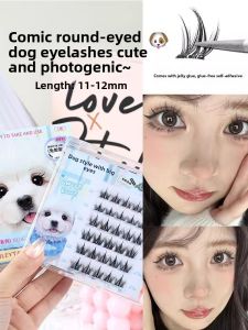 MONLEYTA | Ultra-Natural Single Cluster Fake Eyelashes For Women Hard Stem Self-Adhesive Glue-Free Eyelash Extension Kit Manlieta Brand