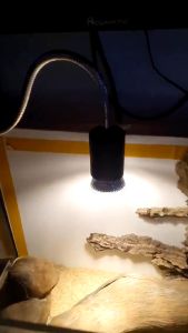 คู่กับขั้วหลอดไฟเซรามิค E27 สำหรับความสะอาดและเป็นเฟ้อ