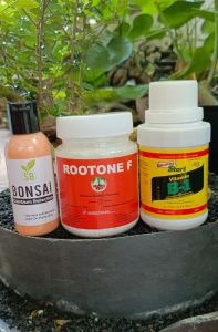 Pupuk Perlengkapan Bonsai 3in 1