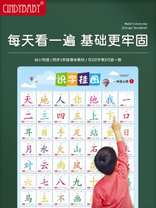 ตารางคำศัพท์สำหรับนักเรียนชั้นประถมศึกษาปีที่1ตารางการรู้หนังสือแบบแขวนสติกเกอร์ติดผนังการจำตัวอักษรสำหรับเด็กการรู้หนังสือเล่มแรกและเล่มที่1รุ่นสอนมนุษย์