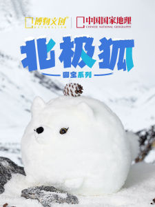 Creative Birthday Gift Doll Girl Age 10 Cute Plush Toy Geographical Christmas Present Friend High Aesthetic Value White Color