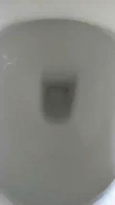 Vasile x sgPlumbMart 2-Piece Toilet Bowl Two Piece WC Water Closet S Trap Close Coupled V338 Toilet 208variant