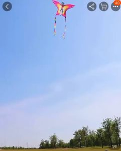 125cm Huge butterfly kite Colorful Butterfly Flying Kite Children Outdoor Toy Game free kite string KM