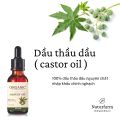 Dầu thầu dầu nguyên chất hữu cơ ( dầu castor oil ) 15ML. 