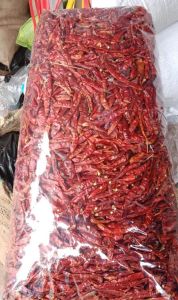 HEMAT ( 1kg ) cabe/cengek rawit teja caplak kering super pedas tanpa tangkai