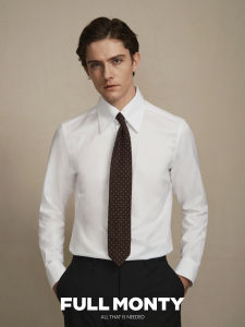 Non-iron Hidden Button Cotton Mens Dress Shirt
