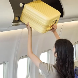 Freebird 14 Inch Lightweight Carry-On Travel Luggage with Silent Spinner Wheels Waterproof & Smart Lock | Cabin Size Suitcase