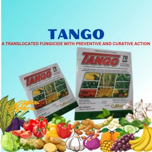 TANGO 70WP SYSTEMIC FUNGICIDE