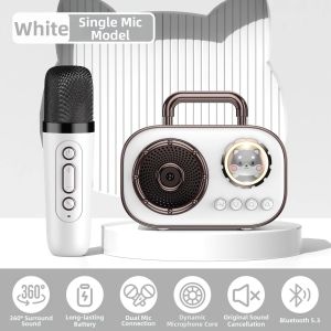 Wireless Bluetooth Home K-Song Cartoon Childrens Microphone Set Handheld Rechargeable Family Karaoke Kit Audio Visual Appliances