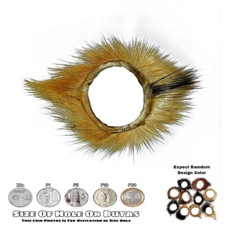 Goat eyelashes/Pilik mata ng kambing for men