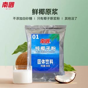 Hainan Specialty Southern Coconut Powder 320g/500g Bulk Restaurant Use No Sugar Added Food Coconut Juice Powder