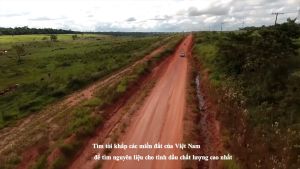 [CHAILỚN- GIẢM GIÁ]Tinh dầu nguyên chất thương hiệu HEIWA nhập khẩu Ấn Độ xông phòng khử mùi đuổi muỗi giúp thư giãn sản phẩm có giấy kiểm định
