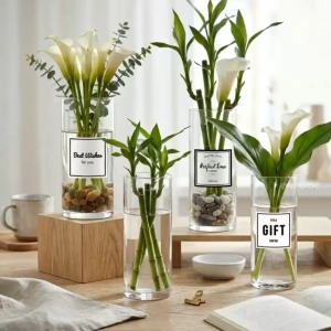 Bình Thủy Tinh Trụ Tròn D0820 Cao 20cm Trang Trí Decor Trồng Cây Thủy Sinh Cắm Hoa Hiện Đại
