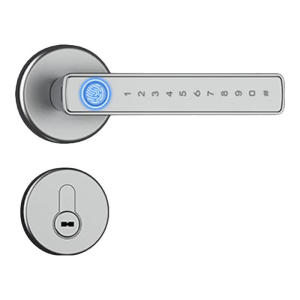 FALEISTON | Fingerprint and Password Smart Door Lock Home Office Wood Door