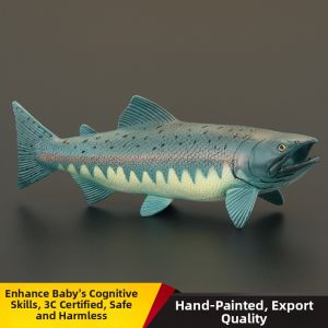 MENGSILE | Solid Simulated Fish Model Educational Toy