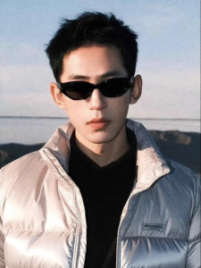 Retro Cat Eye Narrow Frame High-end Chic Driving Sunglasses for Men