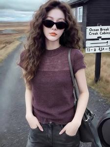 Slimming Crew Neck Short Sleeve Purple Summer 2026 Knit Top