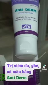 Combo Sữa tắm Skin care và Bôi da Anti-derm dùng viêm da ghẻ xà mâu cho chó mèo