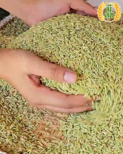 ข้าวกล้องหอมมะลิน้ำนม ข้าวมีสุข หอมนุ่ม เพื่อสุขภาพ (ถุง 5 กิโล)